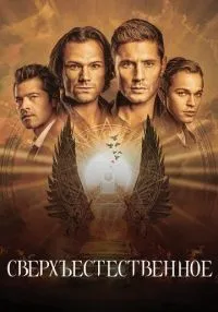 Сверхъестественное 1-15 сезон смотреть онлайн бесплатно